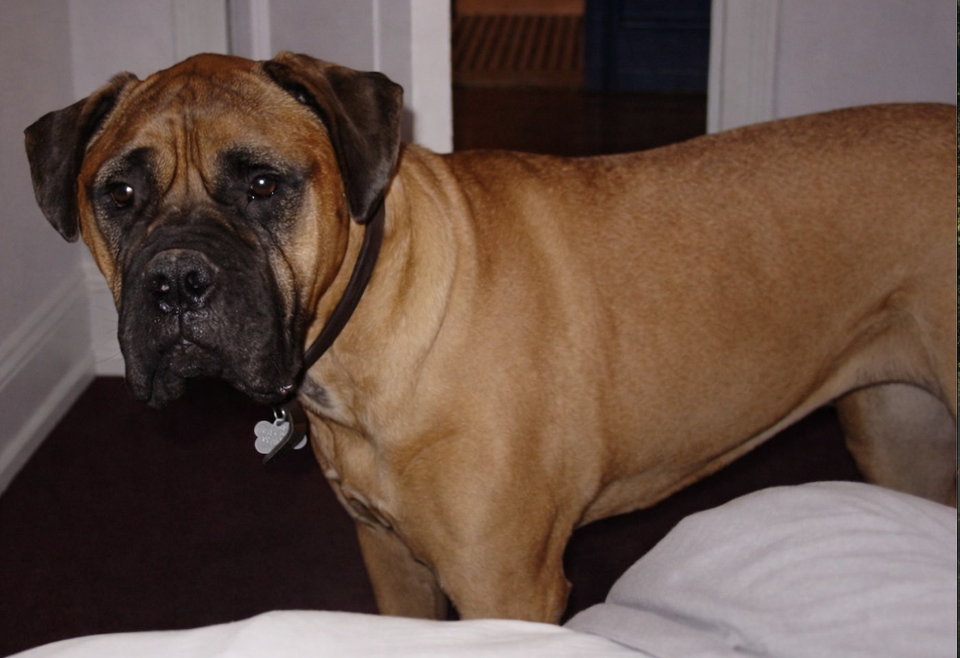 Roxy